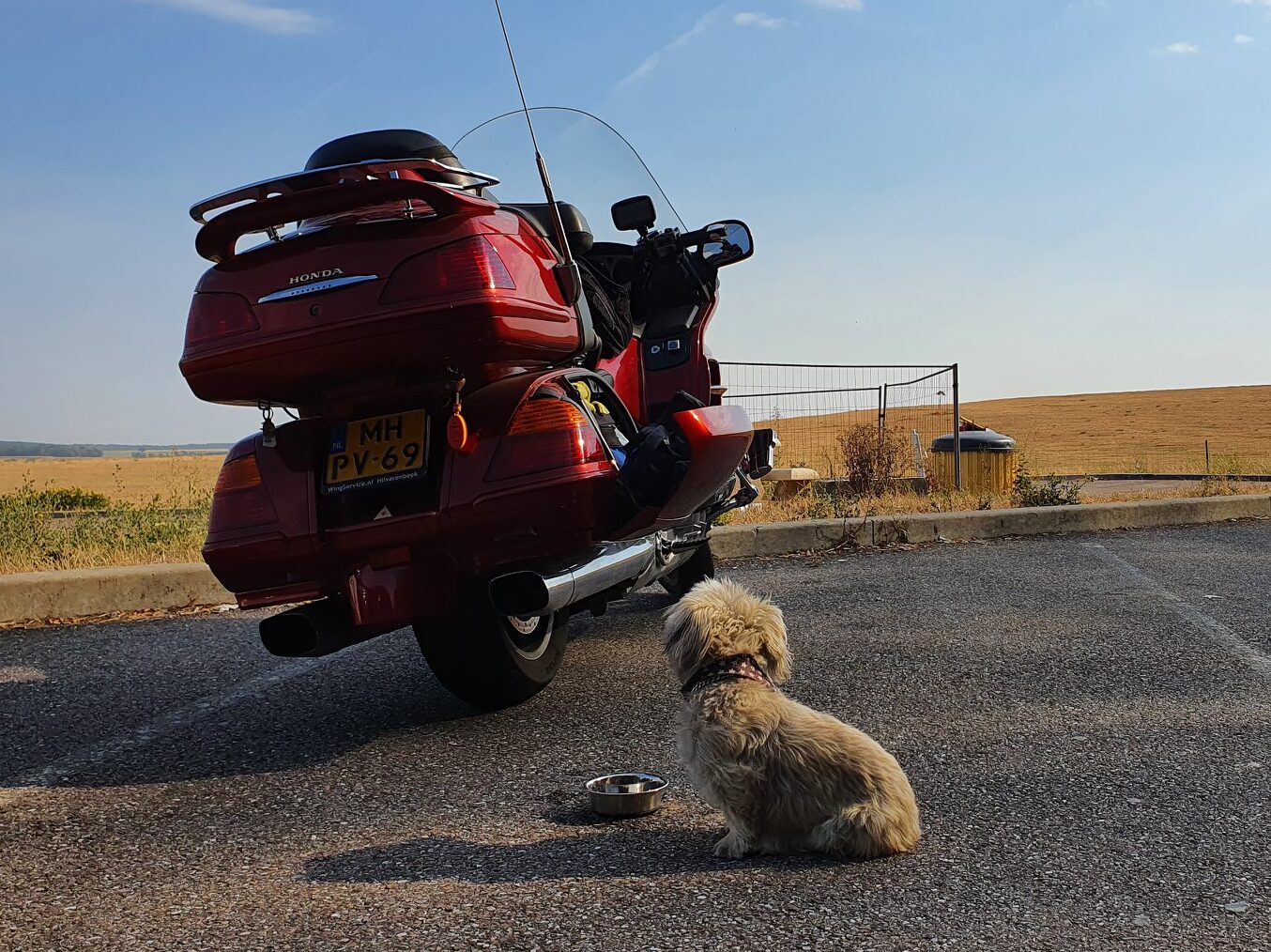 Afl. 013: Hond Binky rijdt mee op een dikke Honda Goldwing